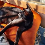 Alice Peroni - Facebook
