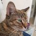 Alice Peterson - Facebook