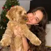 Alice Pugh Katie - @alice.pugh..k - TikTok