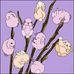 Alice Purdy - Facebook