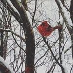 Alice Real - @musicmaker0722 - Instagram