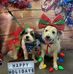 Alice Reilly - Facebook