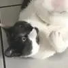 alice.renard - @alice.renard0 - TikTok