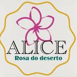@alice_rosadodeserto - Instagram