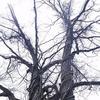 Mary Alice Rush - @mary.alice.rush - TikTok