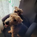 Alice Salter - Facebook
