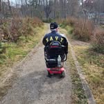 Alice Schoenborn - @aliceschoenborn - Instagram
