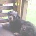 Alice Schoonover - Facebook