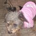 Alice Schoonover - Facebook