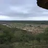 alicesequeira02 - @alicesequeira02 - TikTok