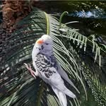 Mrs.Alice's_adventures - @alice_sherlockk - Instagram