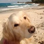 Alice Simmons - @alice.simmons - Instagram