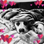 Alice Simons - @simonsalice - Instagram