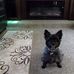 Alice Steele - Facebook
