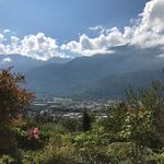 Alice Steele - @alpair2020 - Instagram