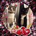 Alice Tam - Facebook