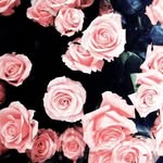 Alice Till - @_.a_.t_._ - Instagram
