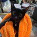 Alice Tsai - Facebook