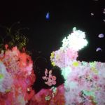Alice Tsai - @alice_tsai_revival - Instagram