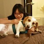 Alice Tseng - @alicetseng.1205 - Instagram