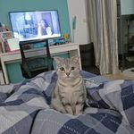 Alice Tseng - @alice.tseng.3910 - Instagram