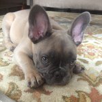 Tully - @tullyalice - Instagram