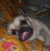 Alice Varallo - Facebook