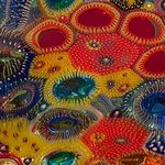 Alice Walker-Birch - @_alice_walker_birch_ - Instagram
