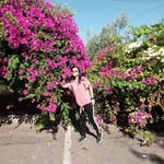 Alice Wehbe - @alicewehbe - Instagram