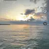 𝐀𝐥𝐢𝐜𝐞𝐰𝐫𝐚𝐲 - @alicewray2 - TikTok