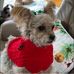 Alice York - Facebook