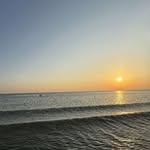 𝒜𝓁𝒾𝒸𝒾𝒶 𝒷𝒾𝓈𝒽𝑜𝓅 - @aliciabishopppp - Instagram