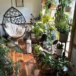 Alicia Boyce - @you.grow.girl.houseplants - Instagram
