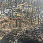 Alicia Boyce - @alicia.boyce.589 - Instagram
