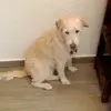 Alicia carrera - @alicia.carrera39 - TikTok