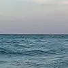 Alicia Day - @alicia.day4 - TikTok