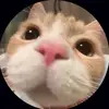 AliciaDay - @aliciadayueygmlvy - TikTok