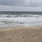 Sharon-Alicia Erdmann - Facebook