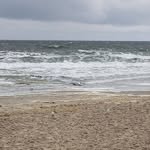 Sharon-Alicia Erdmann - @sharonaliciaerdmann - Instagram