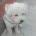 Alicia Flecha - Facebook