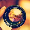 alicia_hey - @alicia_hey - TikTok