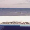 Alicia Bredehoeft - @aliciabredehoeft - TikTok