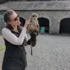 aliciaklein83 - @aliciaklein83 - TikTok