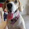 Alicia Madera575 - @aliciamadera575 - TikTok