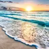 Alicia_main🌼 - @alicia_magee - TikTok