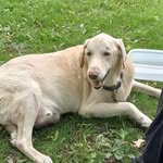Alicia Meeks - @volcanolover35 - Instagram