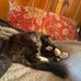 Alicia Olson - Facebook
