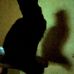 Alicia Olson Alicia Olson - Facebook