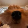 alicia - @alicia.parkk - TikTok