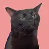 Alicia Parks - @alicia.parks5 - TikTok